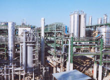 Petrochemical